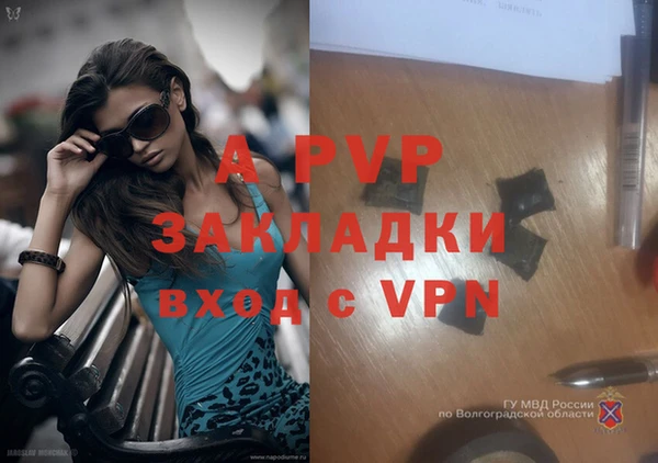 дживик Белоозёрский