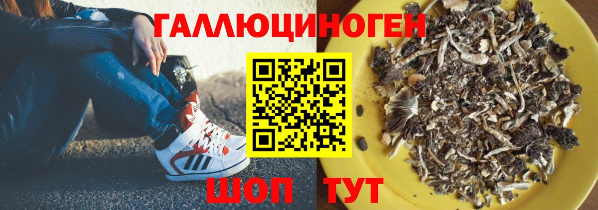 цены   Вход с VPN  Вятские Поляны  Галлюциногенные грибы Magic Shrooms 